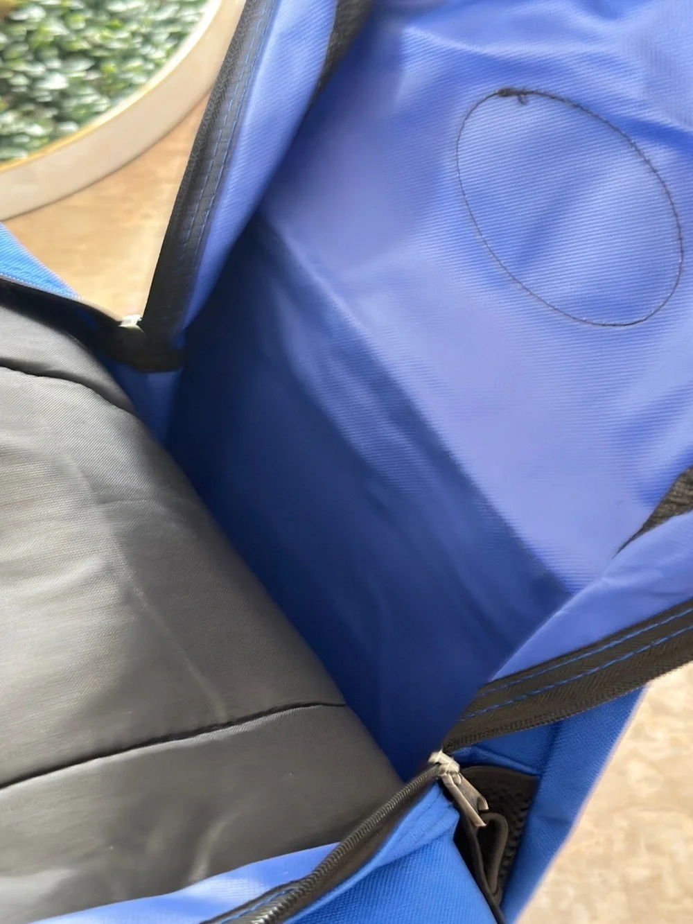 Backpack Two-Piece Bundle | Classic School & Travel Daypack Set Blue Class